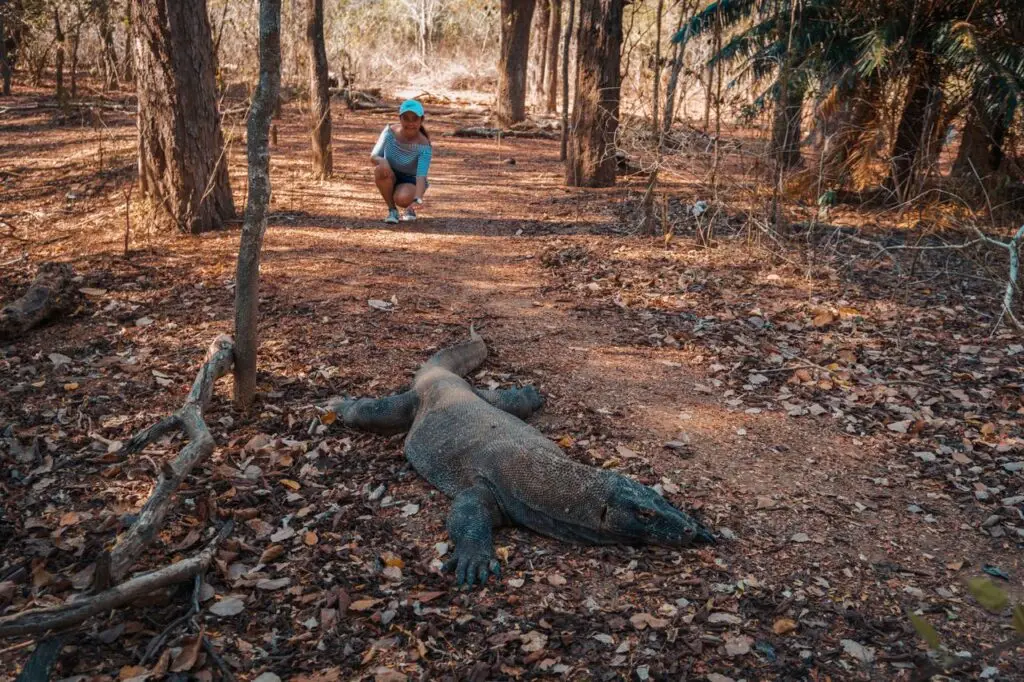 Komodo Island