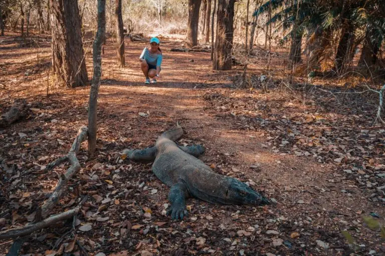 Komodo National Park